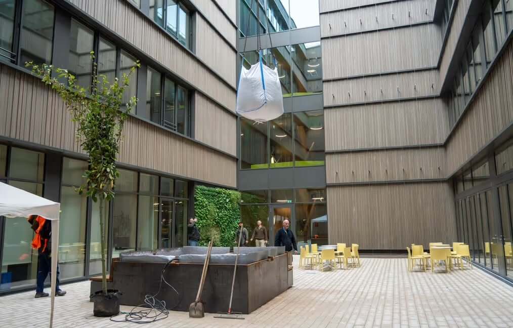 Baum mit Ladekran von Lanz in Schulungszentrum Böblingen gehoben